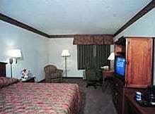 Guest