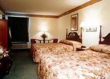 Guest
