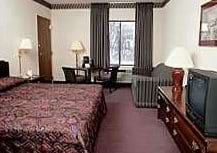 Guest