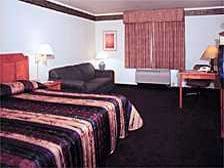 Guest