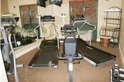 Fitness