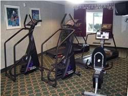 Fitness