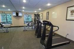 Fitness