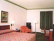 Guest