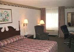 Guest
