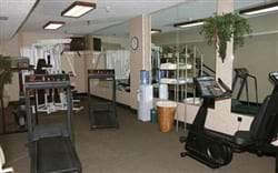 Fitness