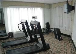 Fitness
