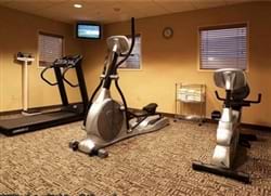 Fitness