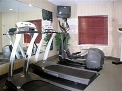 Fitness
