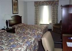 Guest