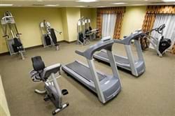 Fitness