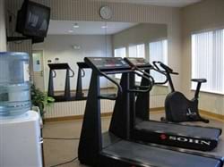 Fitness