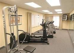 Fitness