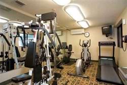 Fitness