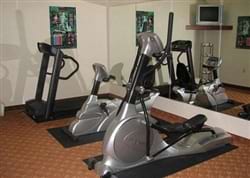 Fitness