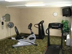 Fitness