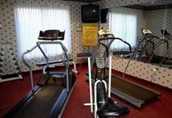 Fitness