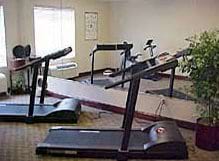Fitness