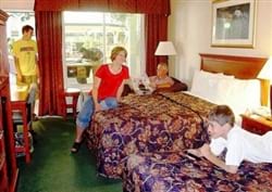 Guest