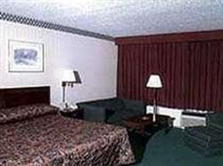 Guest