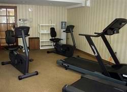 Fitness