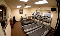 Fitness