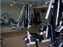 Fitness