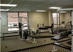 Fitness