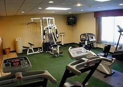 Fitness