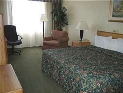 Guest