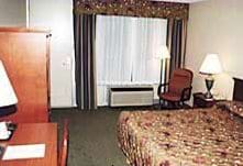 Guest
