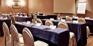 Millennium Hotel Paris Charles de Gaulle