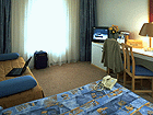 Guest