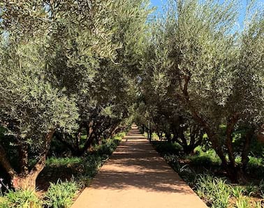 Oberoi Marrakech
