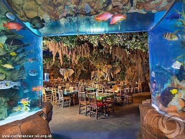 Rainforest Café | United Kingdom