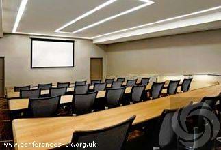 Amphitheatre Meeting Room