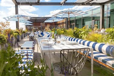 Skylark Roof Garden