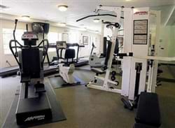 Fitness