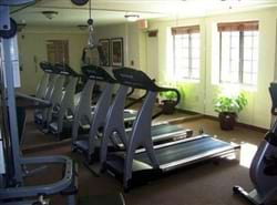 Fitness