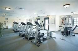 Fitness