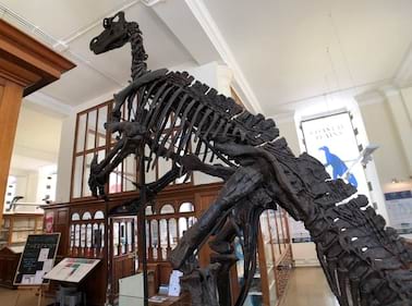 The Sedgwick Museum