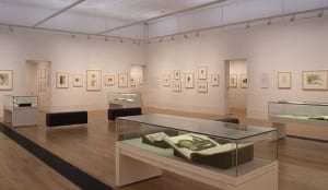 The Shirley Sherwood Gallery