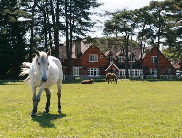 Beaulieu Inn