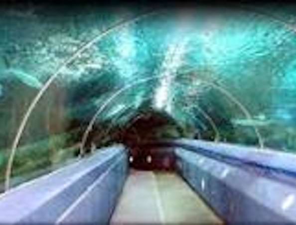 Blue Planet Aquarium