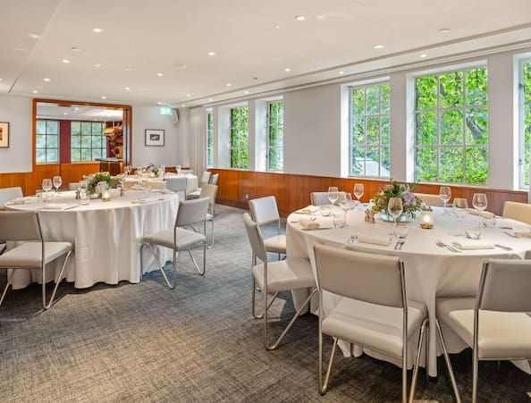 Bluebird Chelsea