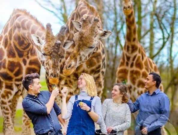 Chessington World of Adventures