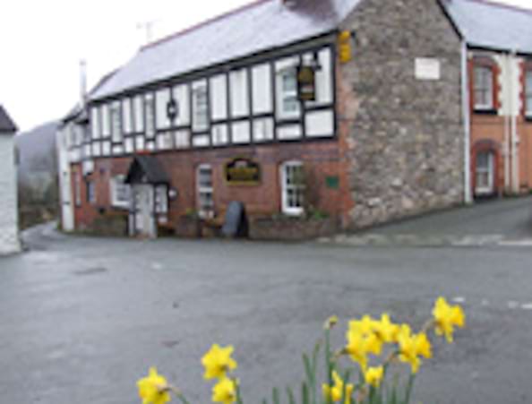 Golden Pheasant Hotel