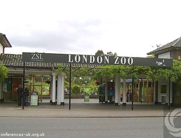London Zoo