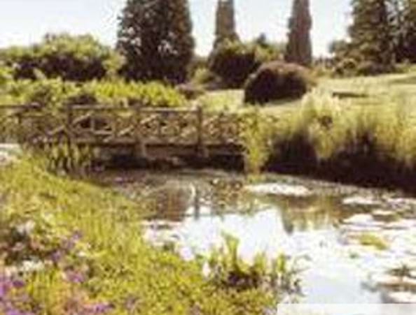 RHS Garden Wisley
