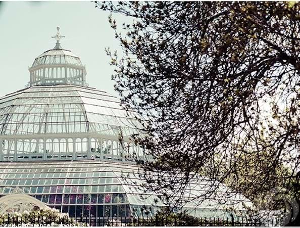 Sefton Park Palm House